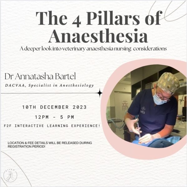 The 4 Pillars of Anaesthesia