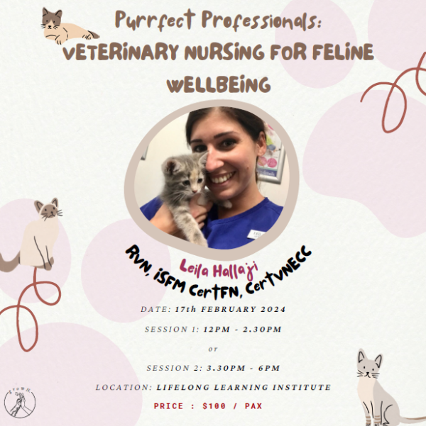 Purrfect Professionals : Veterinary Nursing for Feline Wellbeing