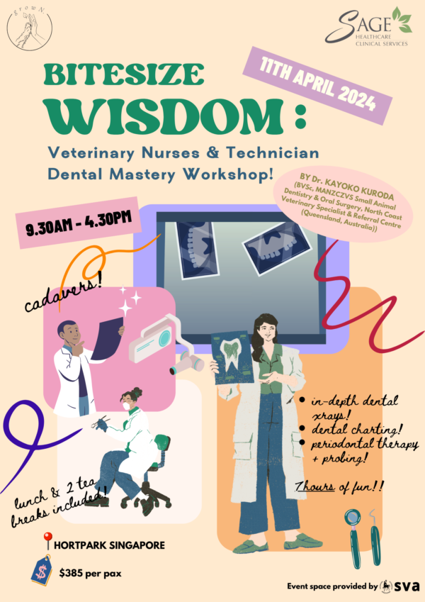 Bitesize Wisdom : Veterinary Nurses & Technician Dental Mastery Workshop