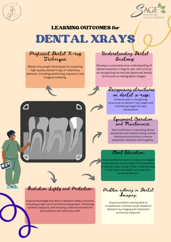 Bitesize Wisdom : Veterinary Nurses & Technician Dental Mastery Workshop - Image 2