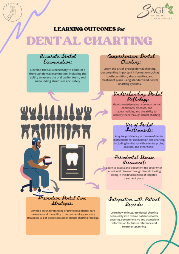 Bitesize Wisdom : Veterinary Nurses & Technician Dental Mastery Workshop - Image 3