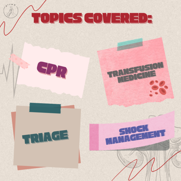 Rapid Response : Elevating Skills in Emergency & Critical Vet Nursing - Image 2