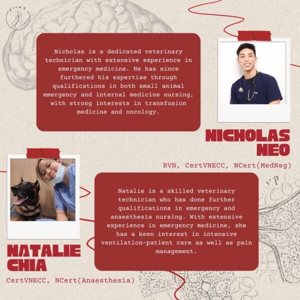Rapid Response : Elevating Skills in Emergency & Critical Vet Nursing - Image 4
