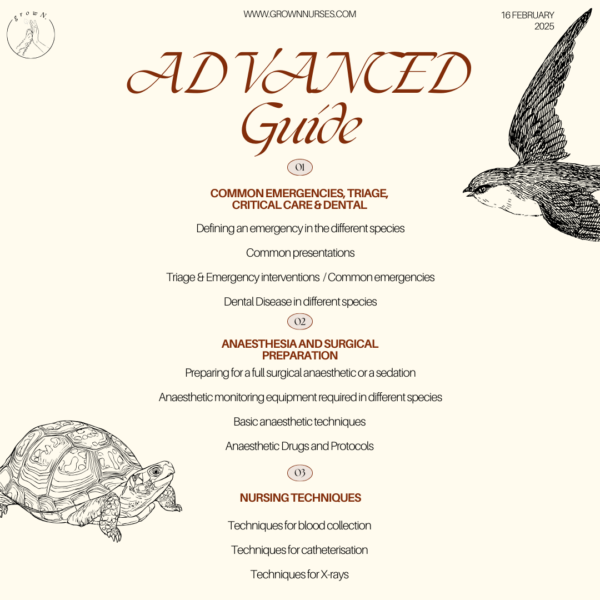 Caring for the Uncommon - A vet nurse's guide to exotics! - Image 3