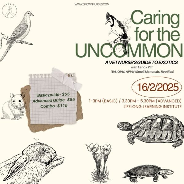 Caring for the Uncommon - A vet nurse's guide to exotics!