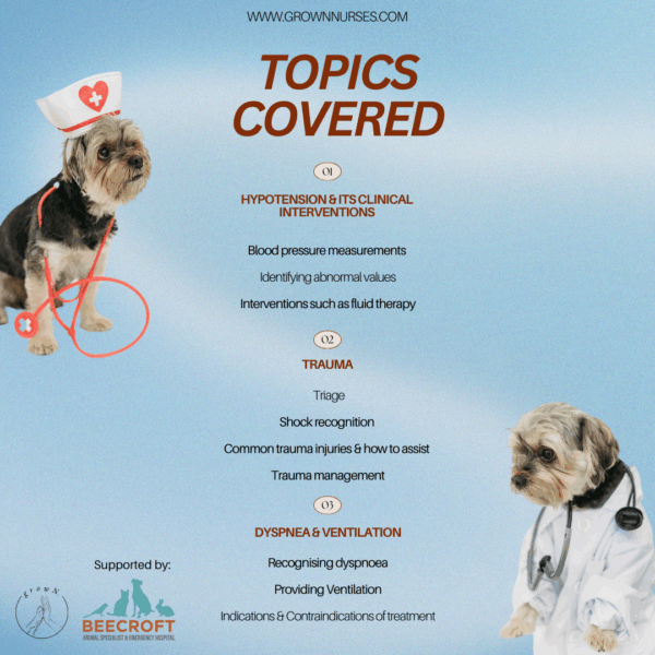 CODE  TO CARE : ECC Veterinary Nursing - Image 2