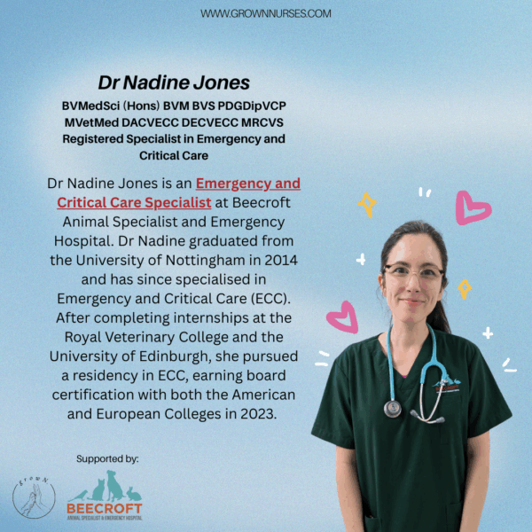 CODE  TO CARE : ECC Veterinary Nursing - Image 3