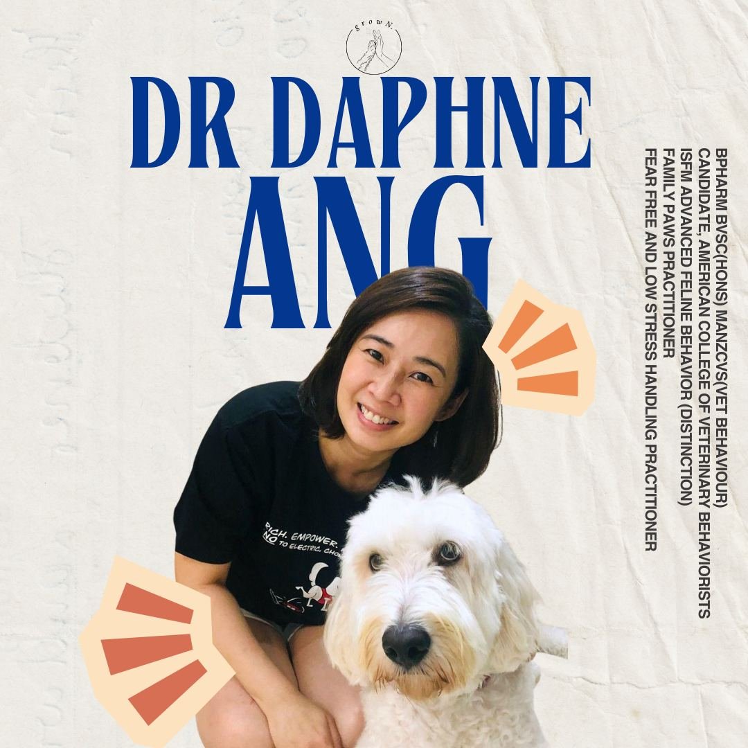 Growls, Purrs & Everything in Between - Image 3