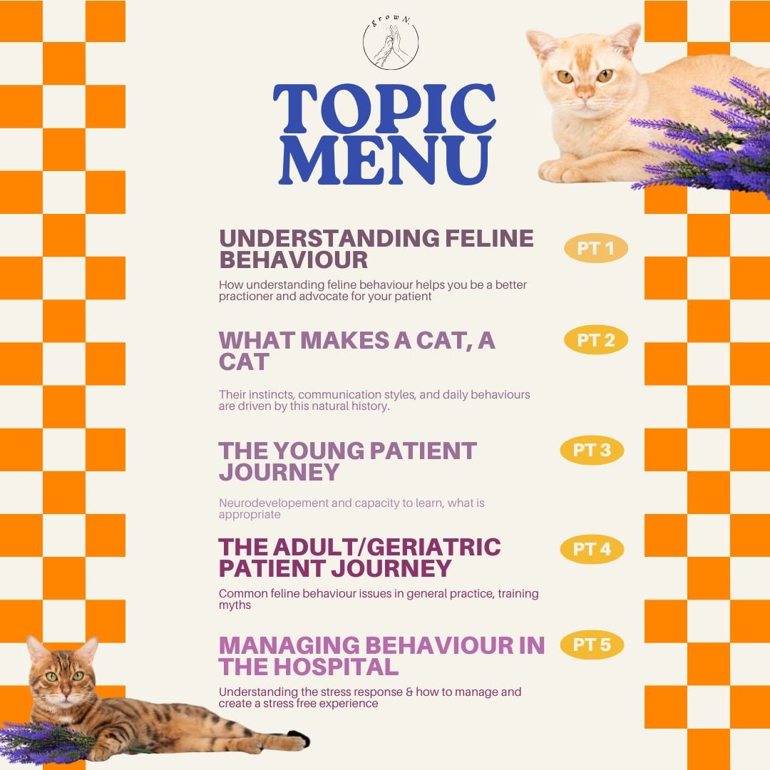 Growls, Purrs & Everything in Between - Image 2