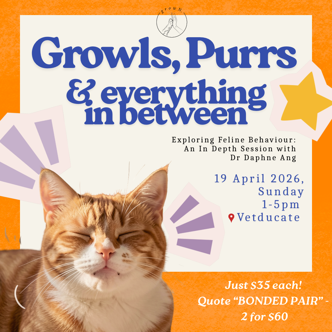 Growls, Purrs & Everything in Between